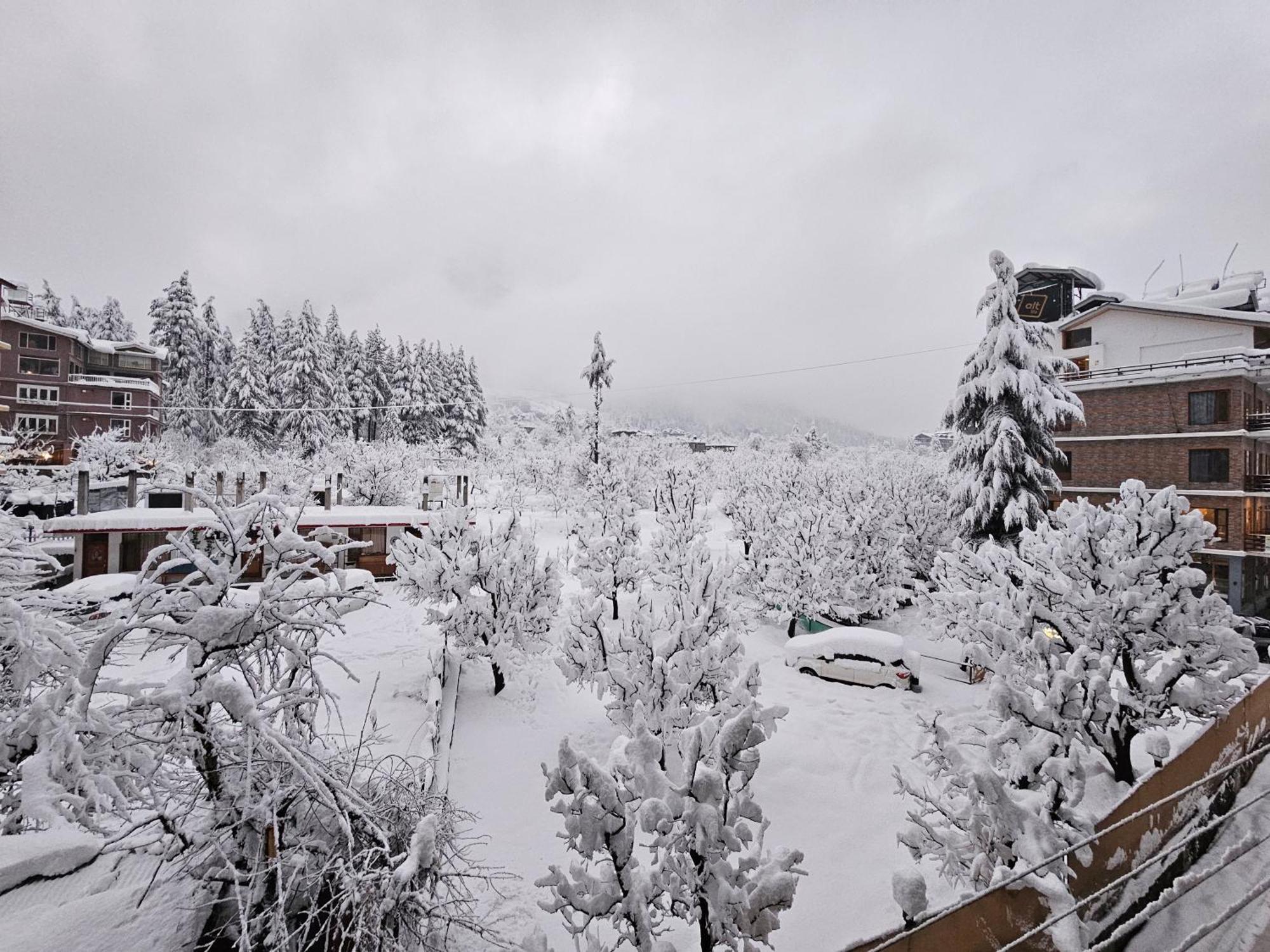 Hotel Apple Flower Manāli Zewnętrze zdjęcie